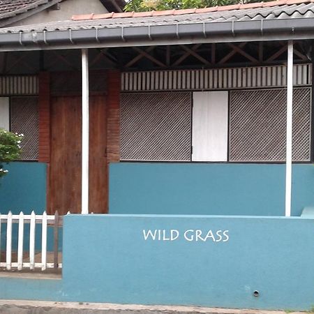 Wild Grass Villa Tangalle Eksteriør bilde